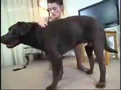 Bored sweetheart plays with her wicked pooch